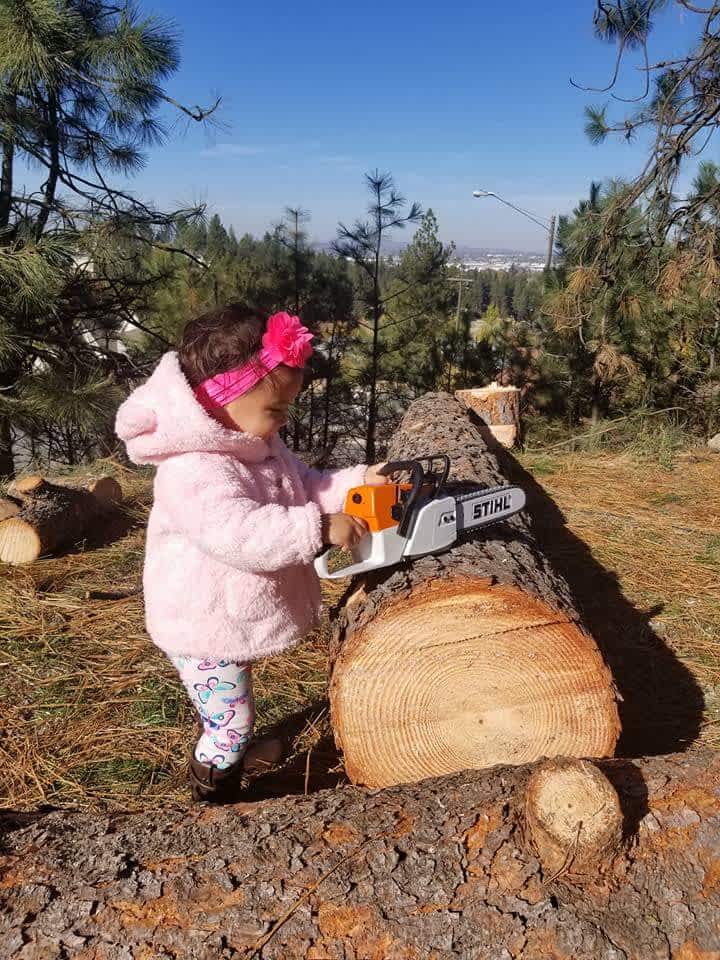 kew kitchen cabinets