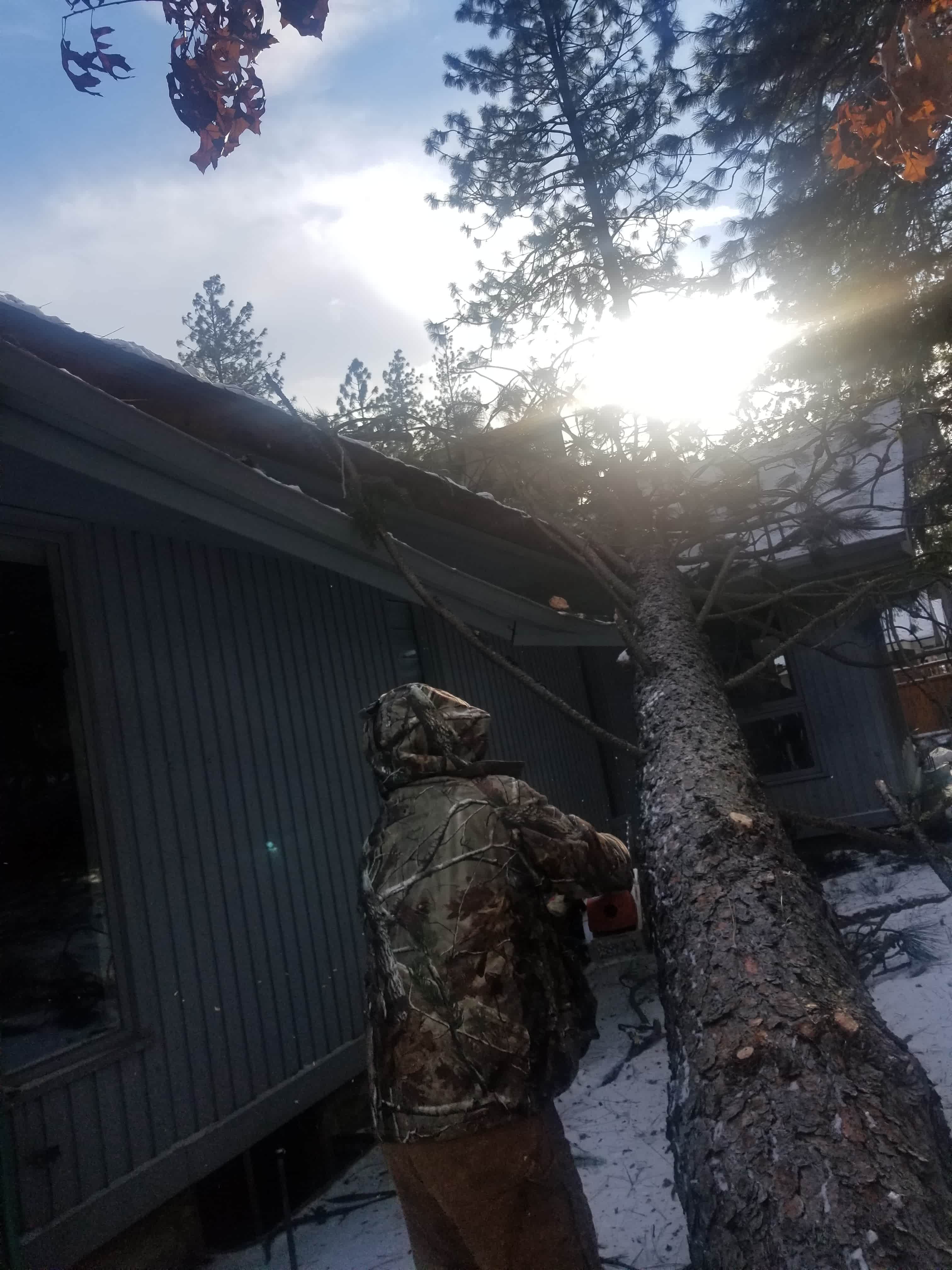 kew kitchen cabinets